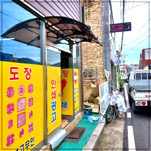 캐노픽스자재 1000